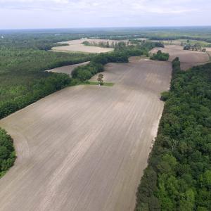Photo of SOLD!  276 Acres of Farm and Hunting Land For Sale in Prince George County VA!