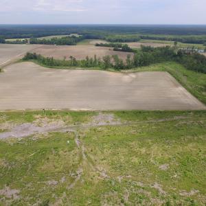 Photo of SOLD!  276 Acres of Farm and Hunting Land For Sale in Prince George County VA!