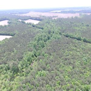Photo of SOLD!  276 Acres of Farm and Hunting Land For Sale in Prince George County VA!