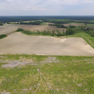 Photo of SOLD!  276 Acres of Farm and Hunting Land For Sale in Prince George County VA!