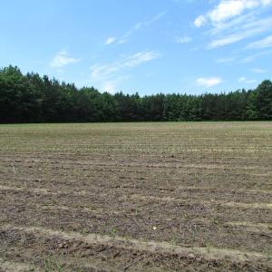 Photo of SOLD!  276 Acres of Farm and Hunting Land For Sale in Prince George County VA!