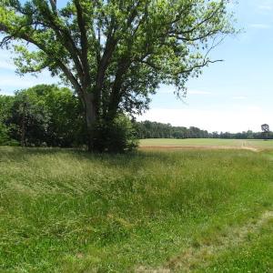 Photo of SOLD!  276 Acres of Farm and Hunting Land For Sale in Prince George County VA!