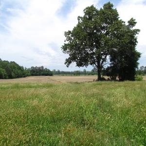 Photo of SOLD!  276 Acres of Farm and Hunting Land For Sale in Prince George County VA!