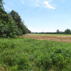 Photo of SOLD!  276 Acres of Farm and Hunting Land For Sale in Prince George County VA!