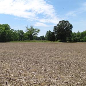 Photo of SOLD!  276 Acres of Farm and Hunting Land For Sale in Prince George County VA!