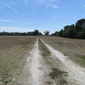 Photo of SOLD!  276 Acres of Farm and Hunting Land For Sale in Prince George County VA!