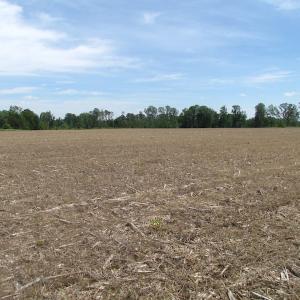 Photo of SOLD!  276 Acres of Farm and Hunting Land For Sale in Prince George County VA!
