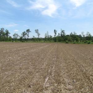 Photo of SOLD!  276 Acres of Farm and Hunting Land For Sale in Prince George County VA!