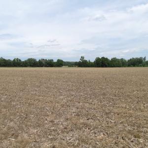 Photo of SOLD!  276 Acres of Farm and Hunting Land For Sale in Prince George County VA!