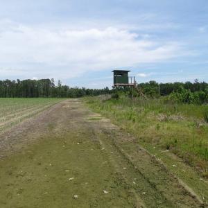 Photo of SOLD!  276 Acres of Farm and Hunting Land For Sale in Prince George County VA!