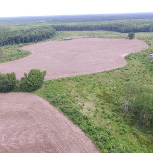 Photo of UNDER CONTRACT!  170 Acres of Farm and Hunting Land with Pond For Sale in Prince George County VA!