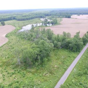 Photo of UNDER CONTRACT!  170 Acres of Farm and Hunting Land with Pond For Sale in Prince George County VA!
