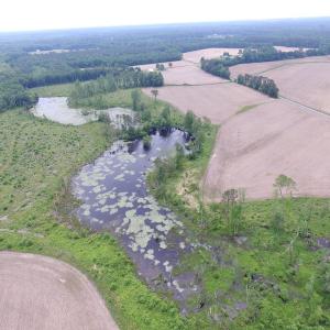 Photo of UNDER CONTRACT!  170 Acres of Farm and Hunting Land with Pond For Sale in Prince George County VA!