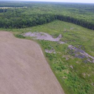 Photo of UNDER CONTRACT!  170 Acres of Farm and Hunting Land with Pond For Sale in Prince George County VA!