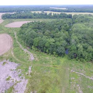 Photo of UNDER CONTRACT!  170 Acres of Farm and Hunting Land with Pond For Sale in Prince George County VA!