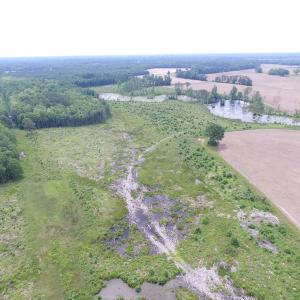 Photo of UNDER CONTRACT!  170 Acres of Farm and Hunting Land with Pond For Sale in Prince George County VA!