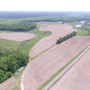 Photo of UNDER CONTRACT!  170 Acres of Farm and Hunting Land with Pond For Sale in Prince George County VA!