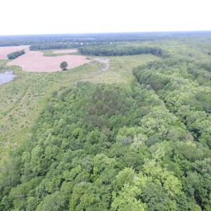 Photo of UNDER CONTRACT!  170 Acres of Farm and Hunting Land with Pond For Sale in Prince George County VA!