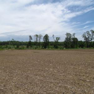 Photo of UNDER CONTRACT!  170 Acres of Farm and Hunting Land with Pond For Sale in Prince George County VA!