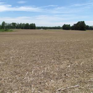 Photo of UNDER CONTRACT!  170 Acres of Farm and Hunting Land with Pond For Sale in Prince George County VA!