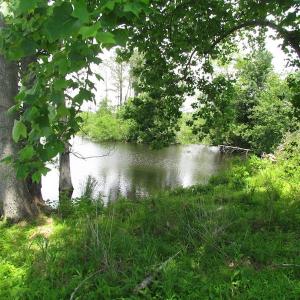 Photo of UNDER CONTRACT!  170 Acres of Farm and Hunting Land with Pond For Sale in Prince George County VA!