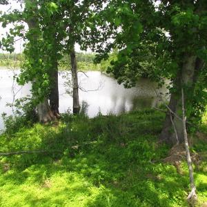 Photo of UNDER CONTRACT!  170 Acres of Farm and Hunting Land with Pond For Sale in Prince George County VA!