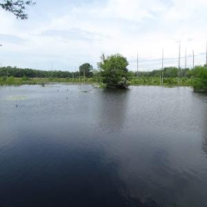 Photo of UNDER CONTRACT!  170 Acres of Farm and Hunting Land with Pond For Sale in Prince George County VA!