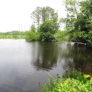 Photo of UNDER CONTRACT!  170 Acres of Farm and Hunting Land with Pond For Sale in Prince George County VA!