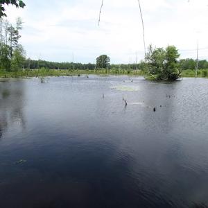Photo of UNDER CONTRACT!  170 Acres of Farm and Hunting Land with Pond For Sale in Prince George County VA!