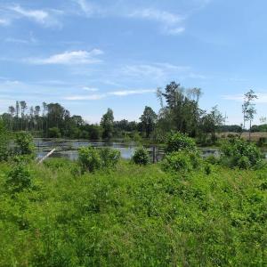 Photo of UNDER CONTRACT!  170 Acres of Farm and Hunting Land with Pond For Sale in Prince George County VA!