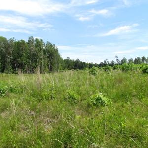 Photo of UNDER CONTRACT!  170 Acres of Farm and Hunting Land with Pond For Sale in Prince George County VA!