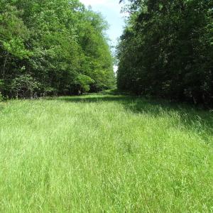 Photo of UNDER CONTRACT!  170 Acres of Farm and Hunting Land with Pond For Sale in Prince George County VA!