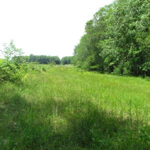 Photo of UNDER CONTRACT!  170 Acres of Farm and Hunting Land with Pond For Sale in Prince George County VA!