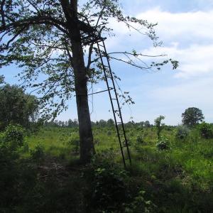 Photo of UNDER CONTRACT!  170 Acres of Farm and Hunting Land with Pond For Sale in Prince George County VA!