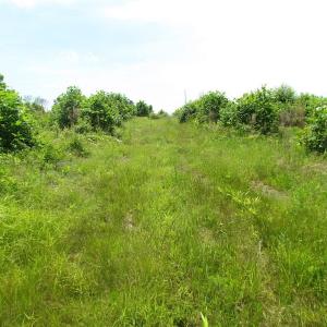 Photo of UNDER CONTRACT!  170 Acres of Farm and Hunting Land with Pond For Sale in Prince George County VA!