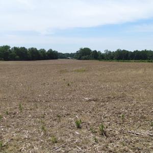 Photo of UNDER CONTRACT!  170 Acres of Farm and Hunting Land with Pond For Sale in Prince George County VA!