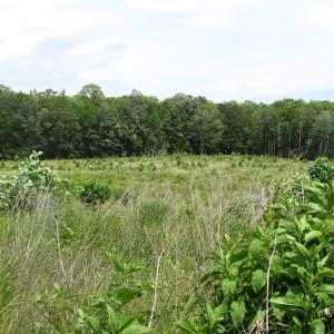 Photo of UNDER CONTRACT!  170 Acres of Farm and Hunting Land with Pond For Sale in Prince George County VA!