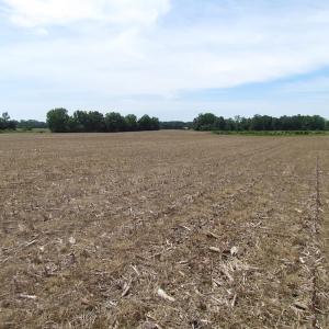 Photo of UNDER CONTRACT!  170 Acres of Farm and Hunting Land with Pond For Sale in Prince George County VA!