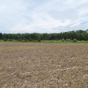Photo of UNDER CONTRACT!  170 Acres of Farm and Hunting Land with Pond For Sale in Prince George County VA!
