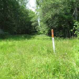 Photo of UNDER CONTRACT!  170 Acres of Farm and Hunting Land with Pond For Sale in Prince George County VA!