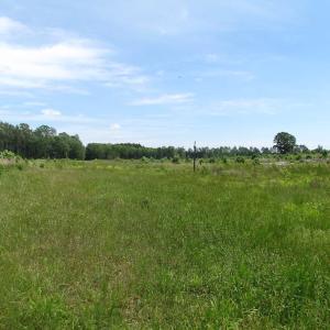Photo of UNDER CONTRACT!  170 Acres of Farm and Hunting Land with Pond For Sale in Prince George County VA!