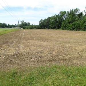 Photo of UNDER CONTRACT!  170 Acres of Farm and Hunting Land with Pond For Sale in Prince George County VA!