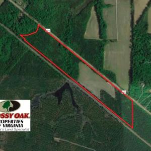 Photo of SOLD!!!  40 Acres of Farm and Hunting Land For Sale in Prince George County VA!
