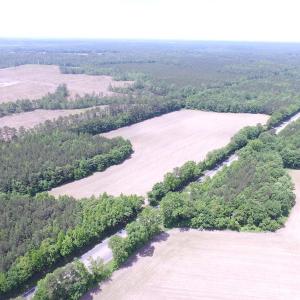 Photo of SOLD!!!  40 Acres of Farm and Hunting Land For Sale in Prince George County VA!