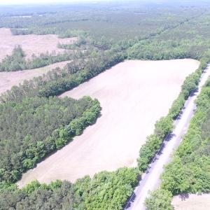 Photo of SOLD!!!  40 Acres of Farm and Hunting Land For Sale in Prince George County VA!