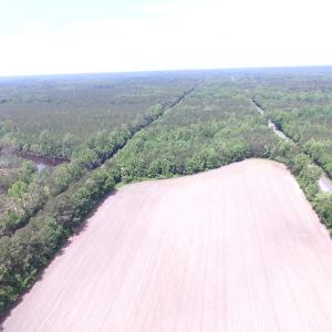 Photo of SOLD!!!  40 Acres of Farm and Hunting Land For Sale in Prince George County VA!