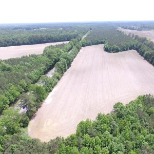 Photo of SOLD!!!  40 Acres of Farm and Hunting Land For Sale in Prince George County VA!