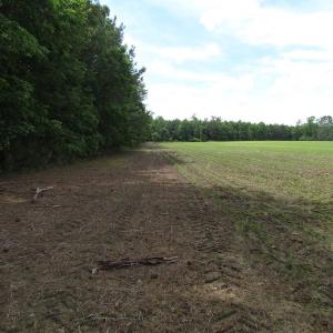 Photo of SOLD!!!  40 Acres of Farm and Hunting Land For Sale in Prince George County VA!
