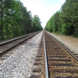 Photo of SOLD!!!  40 Acres of Farm and Hunting Land For Sale in Prince George County VA!