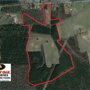Photo of SOLD!  80 Acres of Farm and Timber Land for Sale in Pitt County NC!
